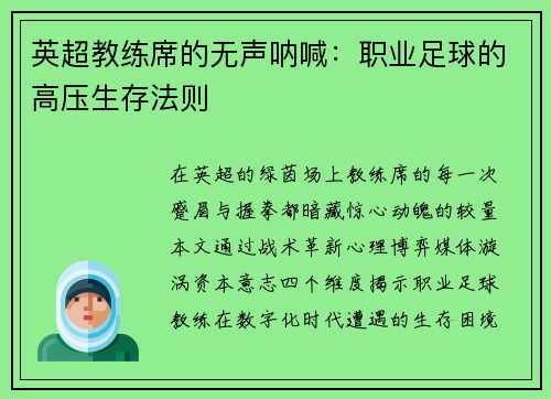 英超教练席的无声呐喊：职业足球的高压生存法则