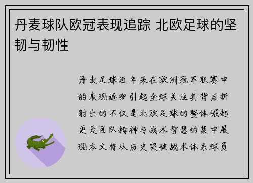 丹麦球队欧冠表现追踪 北欧足球的坚韧与韧性