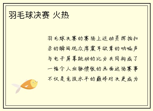 羽毛球决赛 火热